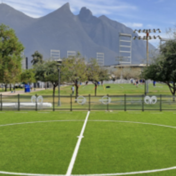 Canchas futbol rápido 